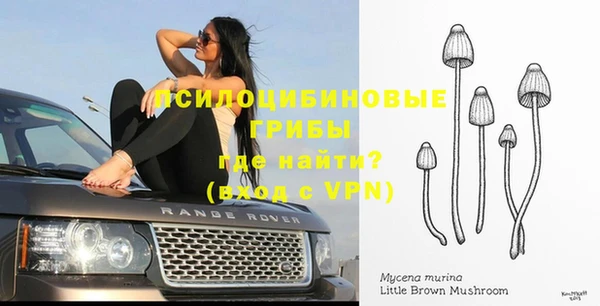 молекула духа Бронницы