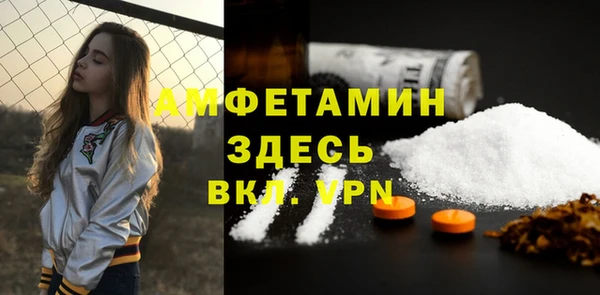 молекула духа Бронницы