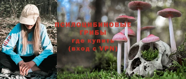 а пвп мука Бугульма