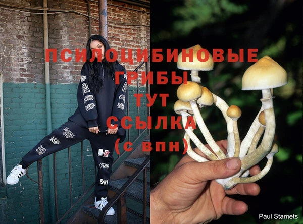 а пвп мука Бугульма