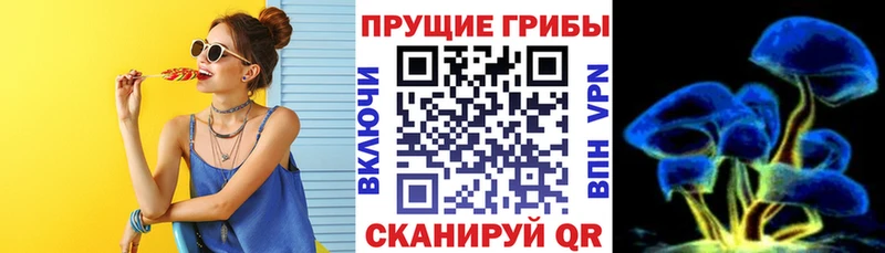 Псилоцибиновые грибы Cubensis  mega как зайти  Палласовка 